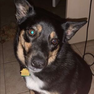 Meet your Posher, Jose